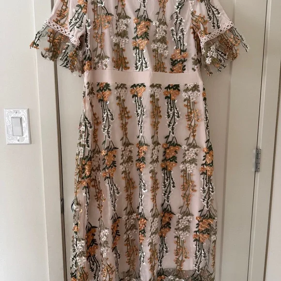 Embroidered Floral Midi Dress in Blush - Picture 2 of 7